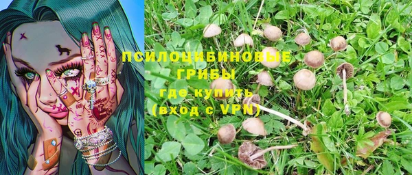 ALPHA-PVP Куйбышев