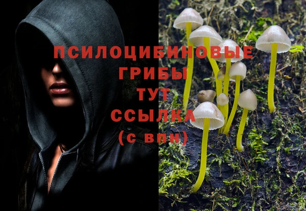 герыч Лагань